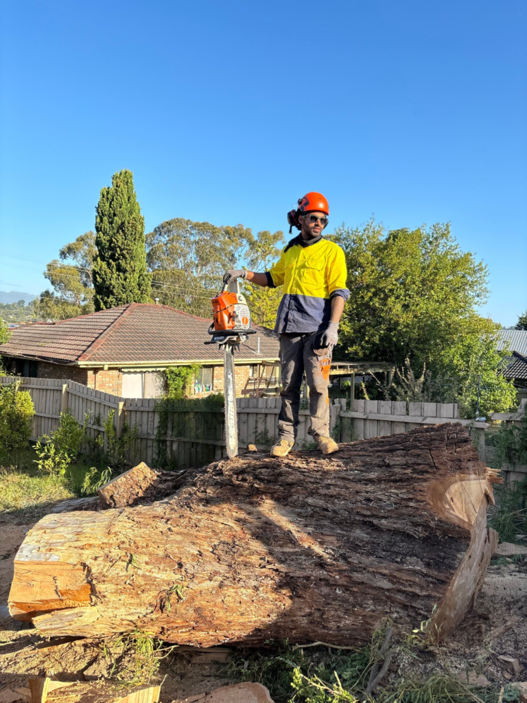 Tree Stump Removal Melbourne