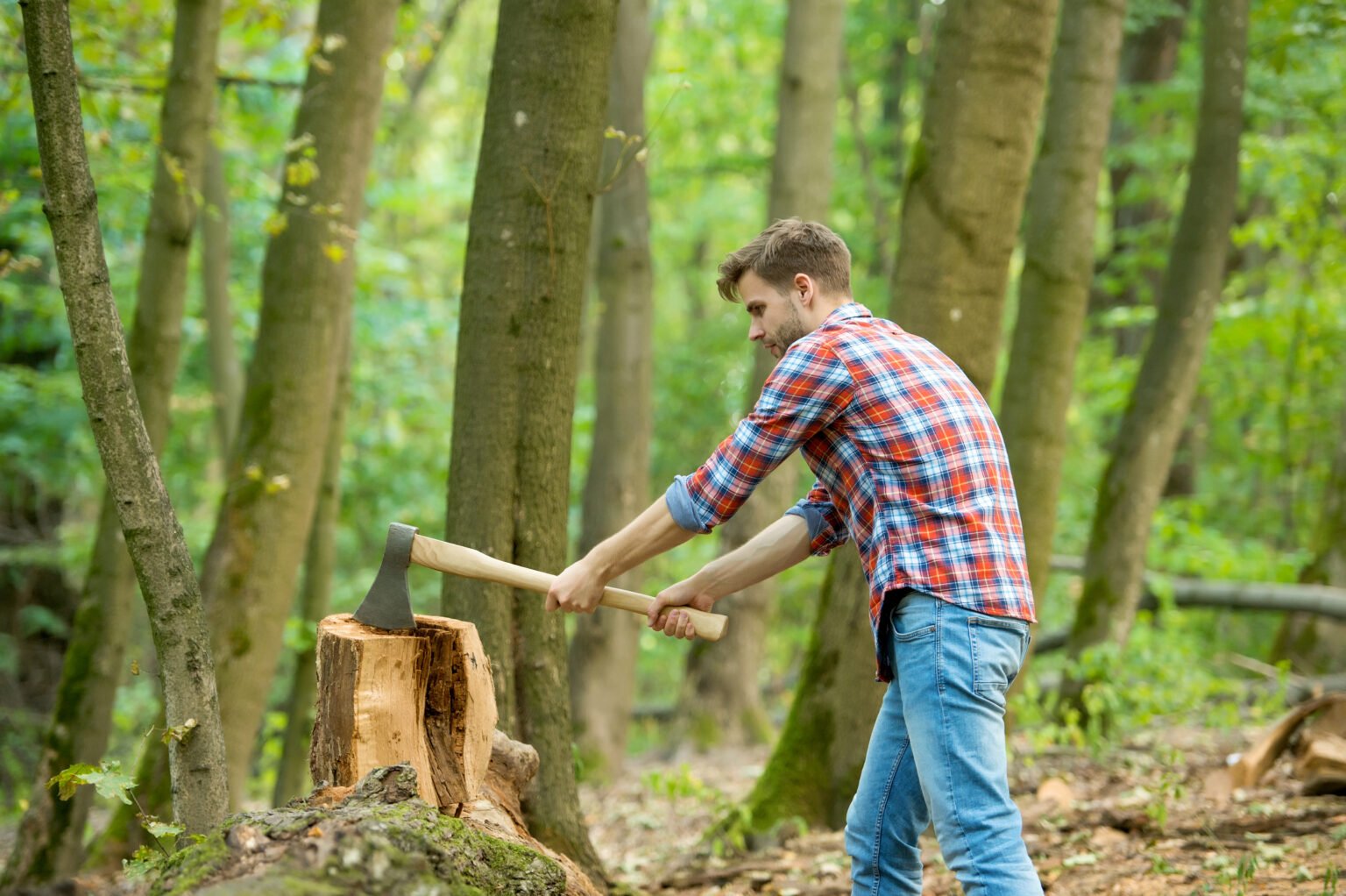 Stump Grinder Melbourne: When to Use and What It Removes