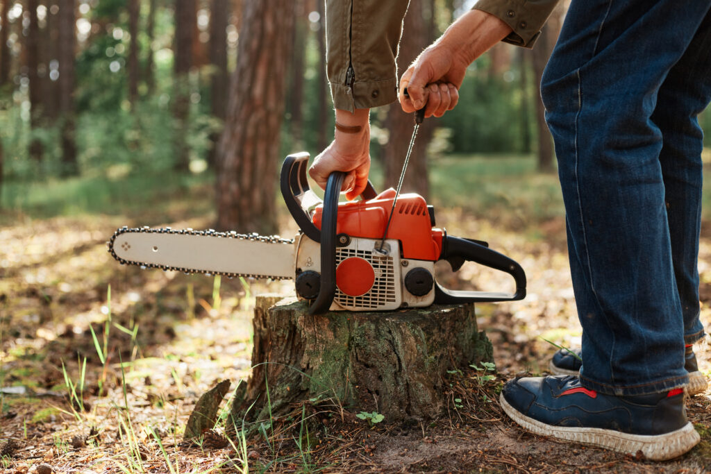Tree Removals in Melbourne