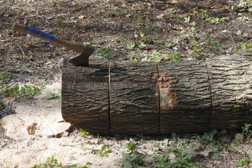 Stump Grinding Melbourne