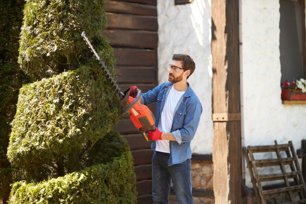 Arborist for Pruning