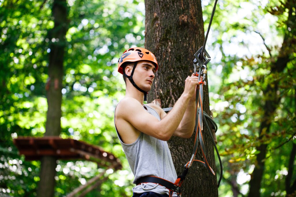 Arborists in Melbourne