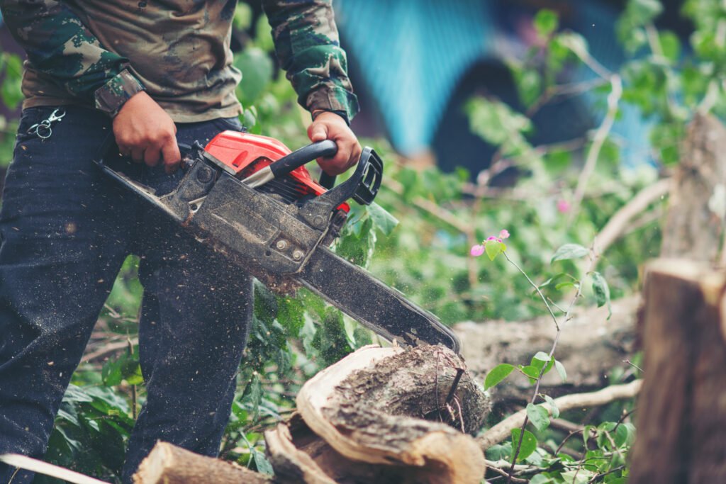 Tree Service