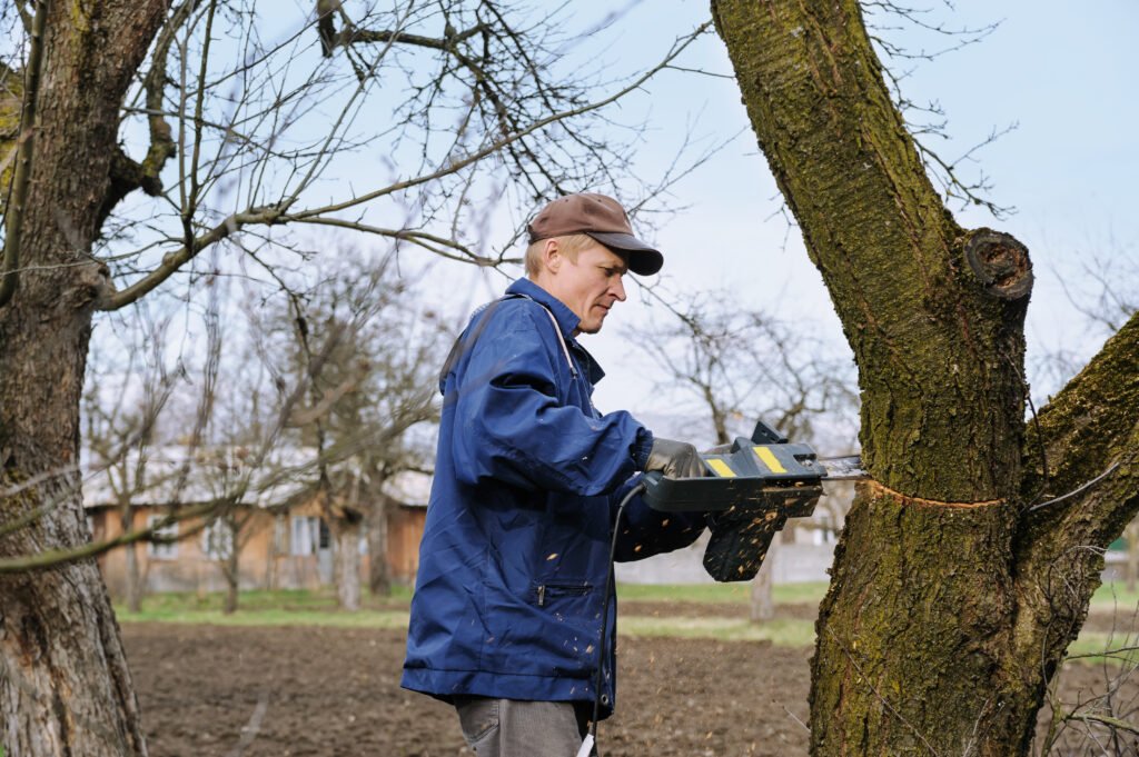 Tree Solutions