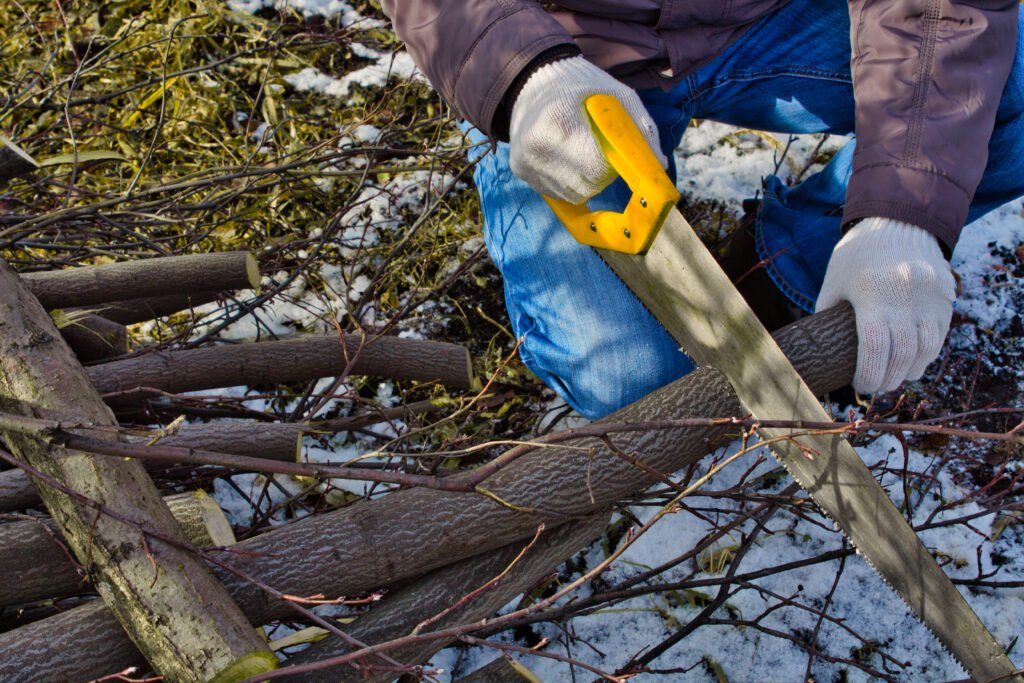 Cheapest Tree Removal