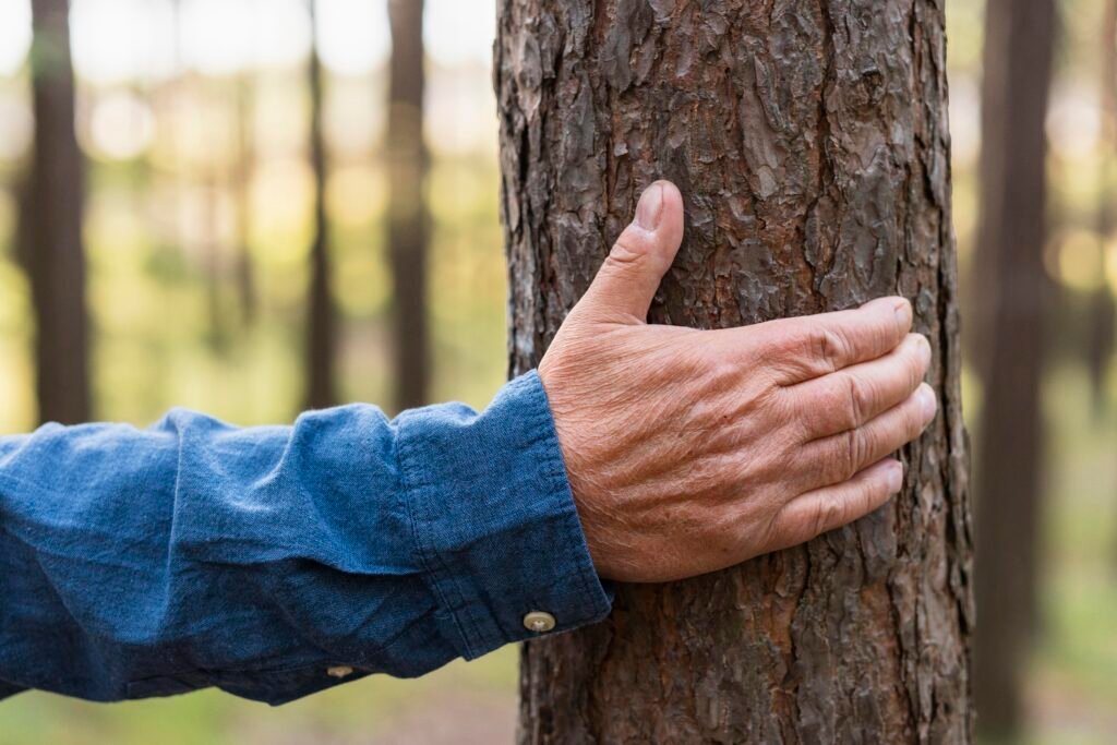 Tree Protection