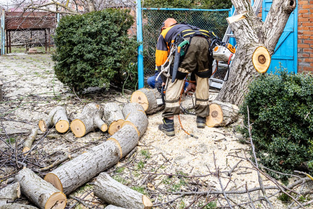 Emergency Tree Removal