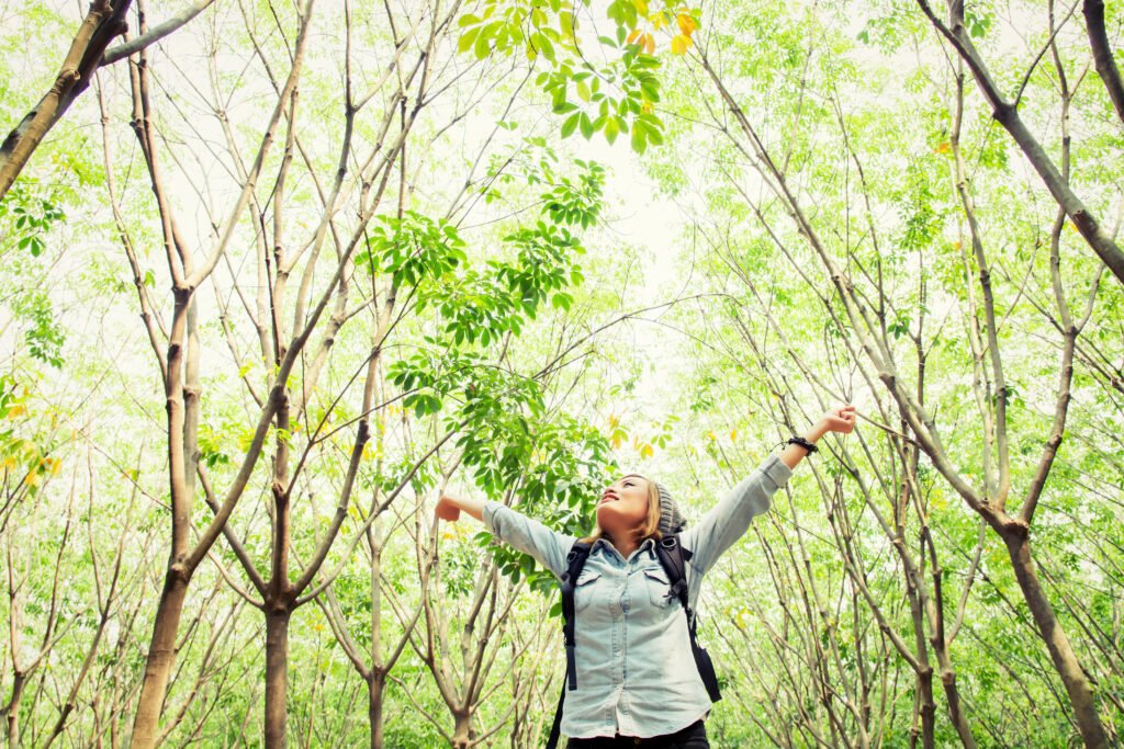 Health of My Trees